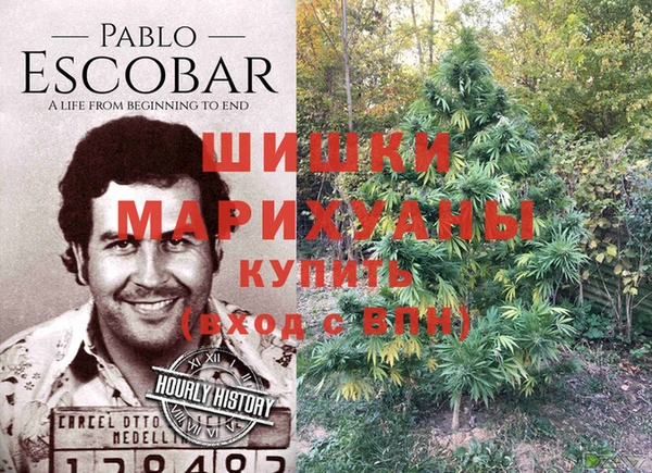 МДПВ Касимов