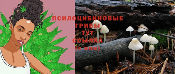 MDMA Карпинск