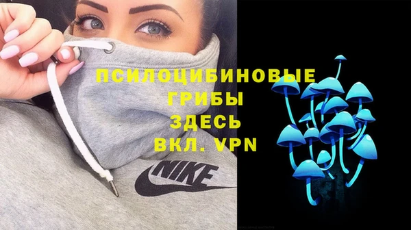 МДПВ Касимов
