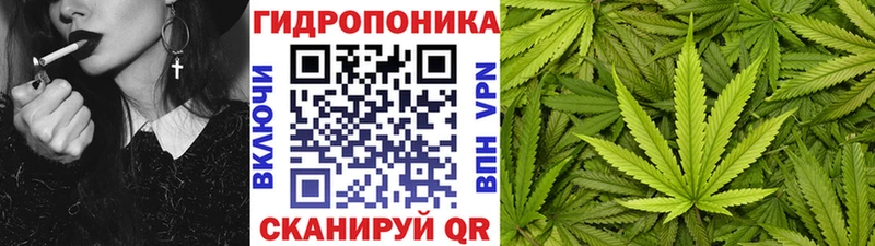 Шишки марихуана OG Kush  Купить закладки  Весьегонск 